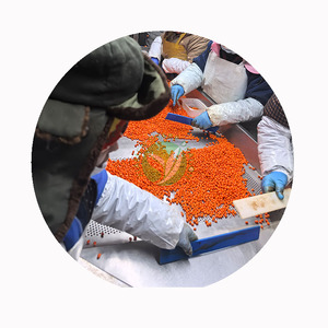 XMSD Espino Amarillo Congelado, Proveedor de Confianza que Ofrece Color, Sabor y Nutrición Consistentes para Grandes Volúmenes Industriales - Product Image 3