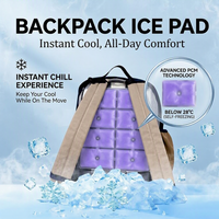Sac à dos personnalisé grand format 26*22.5cm avec coussin de gel PCM pour sacs à dos, pack de glace réutilisable pour un refroidissement longue durée, idéal pour les voyages et les sièges de voiture