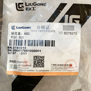 Pièce compatible Liugong 856 50CN 855 862 855N 50C 30E 835 842 Boîte à fusibles 37B0915 Pièces de machines de construction directes d'usine - Product Image 3
