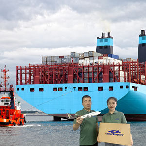 शेनजेन तेजी से शिपिंग लागत अमेरिकी अंतर्राष्ट्रीय रसद सेवा कंपनी समुद्री यात्रा फारवर्डर - Product Image 5