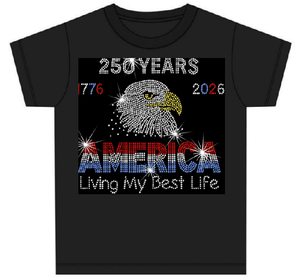 USA 250th Anniversary/American 250 Venta al por mayor Motivo patriótico de diamantes de imitación termoadhesivos para el 250 Aniversario de EE. UU. - Product Image 4