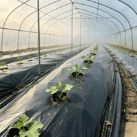 Film de paillage agricole noir pour le réchauffement du sol, la rétention de l'humidité et la culture de légumes en serre