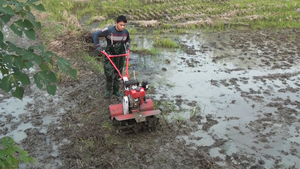 Cultivadora Rotativa de <span class=keywords><strong>Gasolina</strong></span> con Tracción en las 4 Ruedas AHCF, Precio de Fábrica, Gran Oferta, con 1 Año de Garantía - Product Image 3