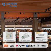 Système d'éclairage sur rail magnétique intelligent WiFi 2.4G Tuya Zigbee Dali avec gradation et 3 températures de couleur modifiables, 90-265V CRI90, pour les marchés russe et européen