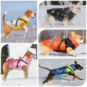 Grenz überschreitende Herbst Winter umwelt freundliche klassische Hund solide Baumwolle gepolstert wasserdichte wind dichte Geburtstags jacke Großhandel - Product Image 4