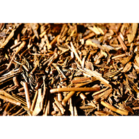 Best quality Japanese roasted tea HOJICHA made in Japan Bulk