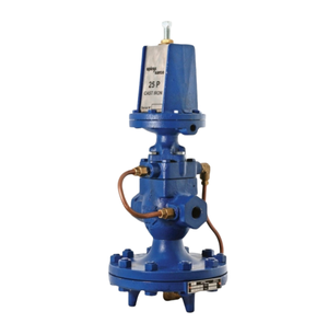 Régulateur Bule 25P/DP27 avec Endress Hauser pour système en acier au carbone, fonte, Spirax Sarco - Product Image 2