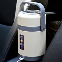 Boîte à lunch chauffante électrique en acier inoxydable, chauffe-aliments, boîte à bento, conteneur alimentaire chauffant USB, boîtes isothermes