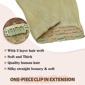 Extensions de cheveux humains russes à clips, une seule pièce, avec 5 clips, prix abordable FH - Product Image 6