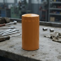 Filtre à huile Hydwell de haute qualité à prix d'usine 269-825 P550920 7988220 2050089 4226293M1 pour excavatrice et tracteur