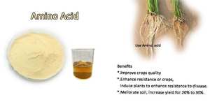 Aminoácido en Polvo de Alta Pureza para el Crecimiento de Todas las Cultivos, Nutriente Orgánico Soluble en Agua para Plantas, Suplemento de Rápida Absorción - Product Image 6