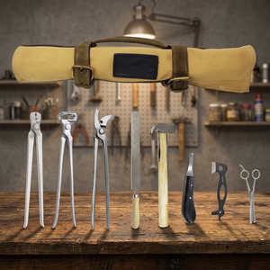 Kit de Herramientas para Herrador de Caballos, Reutilizable y Duradero, para el Cuidado de Pezuñas, Cuchillo para Pezuñas, Extractor de Zapatas, Alicates, Limas, Clavilladores, de Acero Inoxidable, Productos para Animales - Product Image 2