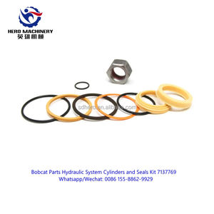 Suku cadang <span class=keywords><strong>Bobcat</strong></span> asli 7137769 sistem hidrolik silinder dan segel KIT segel silinder - Product Image 2