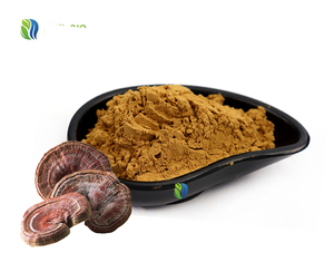 תמצית פטריית ריישי איכותית של SLBIO באבקה ביחסים 10:1, 20:1, 30:1, תמצית גנודרמה לוסידום - Product Image 1