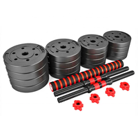 Ensemble d'Haltères Ajustables en Ciment pour Salle de Sport, 50kg, avec Barre Détachable et Poids de 24kg, 32kg pour Fitness, Combinaisons Variées, Usage Domestique