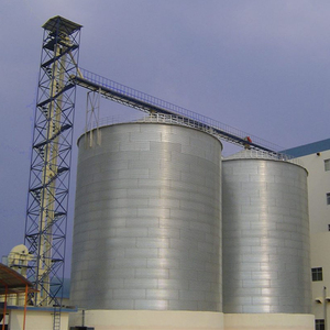 Nuovo Silo a Fondo Piatto con Capacità 1000-15000 Tonnellate Costruzione Zincata Certificato ISO9001 CE per Stoccaggio Grano - Product Image 6