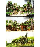 Pierre de dragon, décoration d'aquarium, pierre d'aquascaping (tailles mélangées)