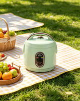Cuisinière à riz électrique au design vert clair, fonction maintien au chaud, faible consommation, idéale pour les petites cuisines, appartements et dortoirs