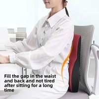 Coussin de Soutien Lombaire en Mousse à Mémoire de Forme Réglable Bidirectionnel pour Chaise de Bureau et Voiture, Ergonomique, Soulagement de la Douleur, Massage