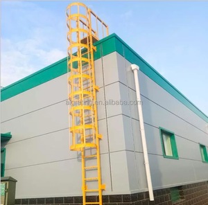 Échelle de sécurité verticale industrielle pour regardes extérieurs, échelle de sécurité verticale fixe, cage de sécurité verticale - Product Image 6