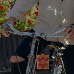 Oem di động trước khi ghi âm mô-đun âm thanh với dây buộc mp3 wav âm nhạc bằng giọng nói máy nghe nhạc ngoài trời loa âm thanh máy nghe nhạc nhấn nút âm thanh - Product Image 5