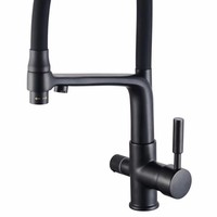 Robinet de cuisine moderne en acier inoxydable 304 à double poignée, rotation universelle en céramique, pour eau chaude et froide, purificateur d'eau pour hôtels