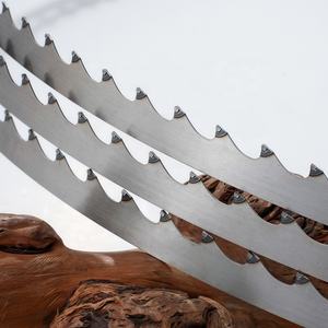 Lame de <span class=keywords><strong>scie</strong></span> à <span class=keywords><strong>ruban</strong></span> TCT de haute qualité EJ avec pointes en carbure, outils de coupe pour bois dur, personnalisable OEM, <span class=keywords><strong>ruban</strong></span> de <span class=keywords><strong>scie</strong></span> de 16 mm 20 mm, vertical - Product Image 4