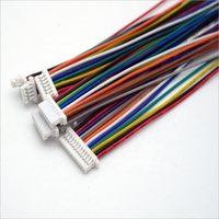 कस्टम केबल दोहन JST श तारों केबल्स के साथ 1.0mm 2-पिन कनेक्टर 100MM के लिए इलेक्ट्रॉनिक उपकरण