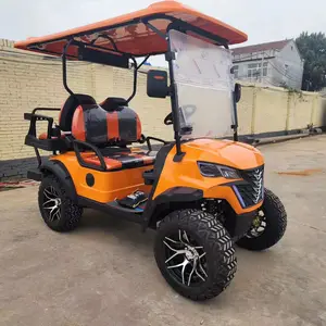 Factory New Model Golf Cart 2 Seat Golf Buggy Electric Lithium Golf Cart