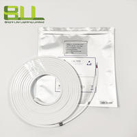 Luz de neón flexible de tamaño IP67 0612 con tira de luz LED inteligente de protección impermeable de color personalizado