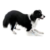 Mincies de viande et fibres de viande pour chiens, formule hypoallergénique, gain musculaire et renforcement osseux, haute palatabilité, pour toutes les races, universel