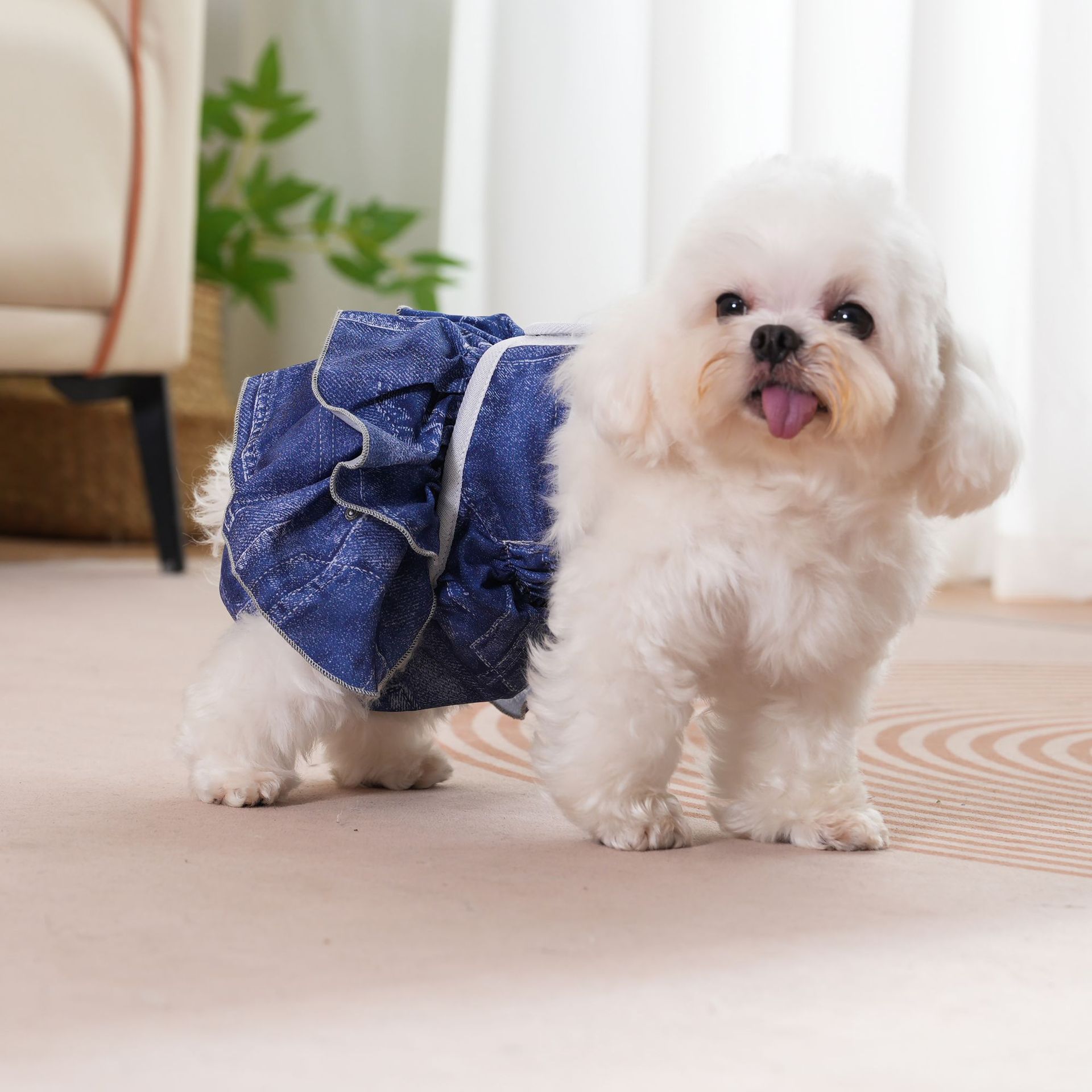 Pañal Ajustable Lavable Para Perras En Celo O Incontinencia – Pantalón De Protección Reutilizable