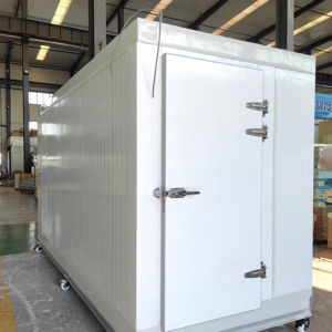 <span class=keywords><strong>Chambre</strong></span> <span class=keywords><strong>froide</strong></span> mobile isolée certifiée XE ISO, best-seller, pour aliments - Product Image 1