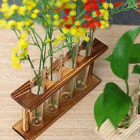 Récipient en verre pour plante d'air de bureau vintage avec support en bois porte-vase en verre décoratif pour bureau à domicile