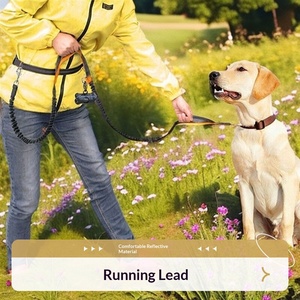 Laisse de course mains libres pour chien, multicolore, avec ceinture de taille réglable et amortisseur élastique, vente en gros, logo personnalisé OEM - Product Image 4