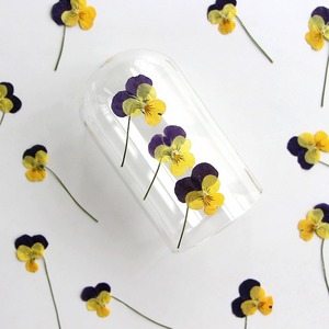 Viola del pensiero con rami fiori secchi in rilievo materiali fai da te cornice di foto epossidica segnalibro pianta esemplare - Product Image 2