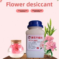 Diy Thuis Silicagel Ontvochtiger Vochtbestendige Plastic Flower Agent Fles Voor Gedroogde Bloemen Fruit Groente