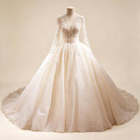 Robe de mariée de luxe moderne, style princesse, longue jusqu'au sol, col en V, manches longues, avec appliques en dentelle, traîne chapelle, en tulle scintillant