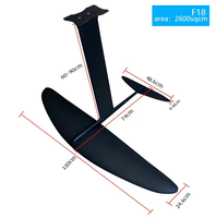 KUAYO FUN-Planche à mât en aluminium F18, planche de surf en fibre de carbone, grande lame de 2600 m², OEM