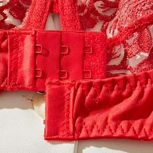 Set di Lingerie da donna di san valentino rosso con ricamo a fiori in pizzo Sexy Set di reggiseno elegante anello in acciaio Push Up Br - Product Image 3