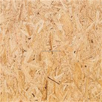 Panneau OSB en pin 1220*2440 mm, prix abordable, épaisseur 8 mm, résistant à l'eau, classe E1, première qualité pour le marché sud-américain, extérieur