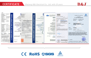B & J IP66 Chống Thấm Nước Bằng Thép Không Gỉ Bao Vây Kích Cỡ Khác Nhau Bảng Phân Phối Điện - Product Image 6