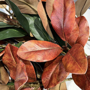 Pabrik grosir hijau tanaman buatan cabang bunga untuk dekorasi dalam ruangan tatanan bunga daun pohon pertunjukan alami - Product Image 4