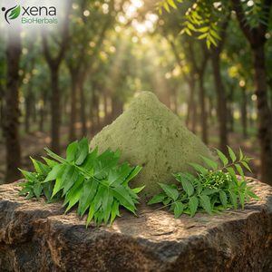 Fabricant d'extrait de feuilles de Neem, fournisseur en gros de poudre d'extrait de Neem, poudre d'herbes en vrac - Product Image 1