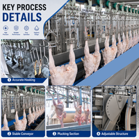 Usine d'abattage mobile clé en main halal, ligne d'abattage de poulets 1000BPH, équipement d'abattage, système de conteneurs