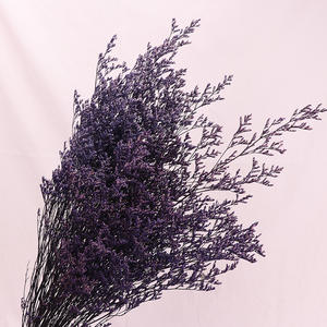 Vente en gros Fleurs conservées pour décoration intérieure <span class=keywords><strong>Desmodium</strong></span> <span class=keywords><strong>Gyrans</strong></span> Herbe de Saint-Valentin pour Noël Thanksgiving Nouvel An chinois - Product Image 5