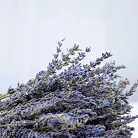 Bunga Lavender Kering Alami 100% untuk Dekorasi Rumah dan Rangkaian Bunga