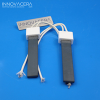 Allumeur de chauffage de poêle à granulés en céramique de nitrure de silicium 110V 120V 220V 240V 400 V 650 V-W pour brûleur de paille