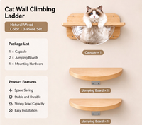 Étagère murale pour chat en bois de caoutchouc, ensemble de 3 pièces, lit pour chat en acrylique en forme de capsule spatiale, meubles muraux pour chat