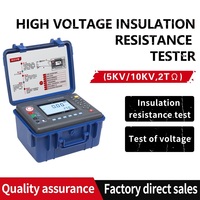 High Voltage Insulation Resistance Tester Digital Megohmmeter USB PC Connection Built-in Li Battery OEM